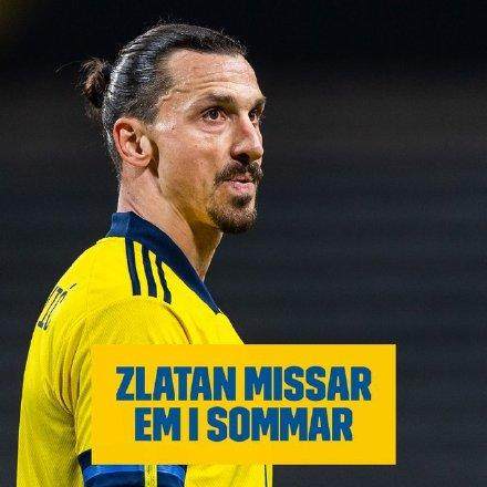 1621087431658025491.jpg 伊布.jpg